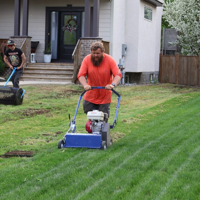 GoYardly crew rolling and mowing a striped green lawn at a Selkirk-area home